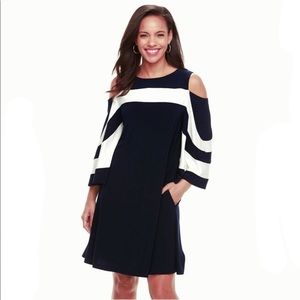 Navy and White Dress